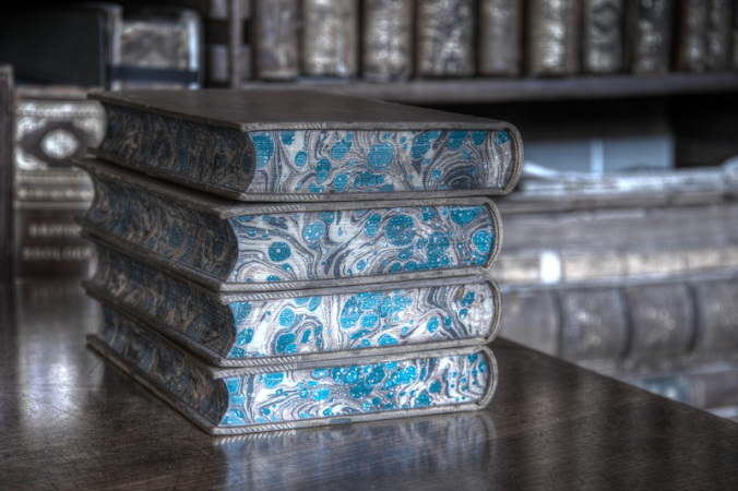 Blue Books, 2013 (Photograph by Carla H. Krueger)